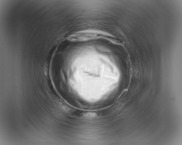 X0000070180374200606091513