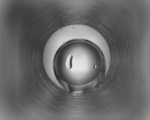 X0000070180376200606091513