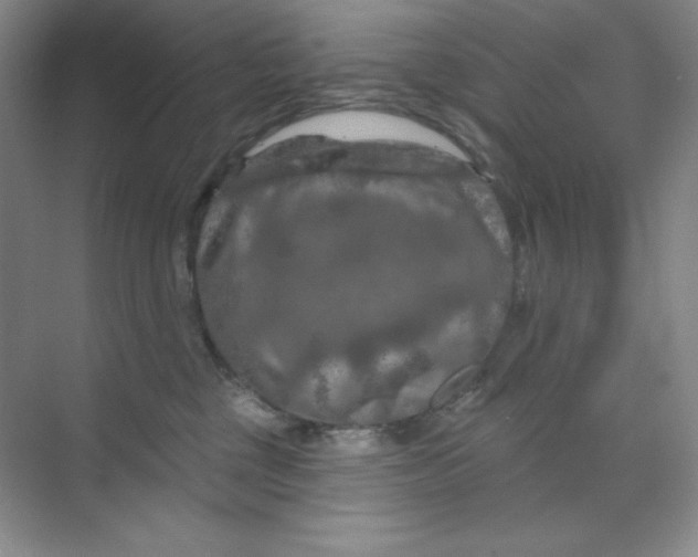 X0000070180377200606091513