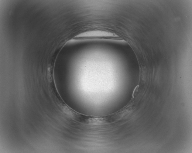 X0000070180378200606091513