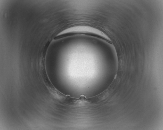 X0000070180379200606091513