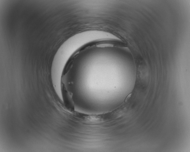 X0000070180380200606091513