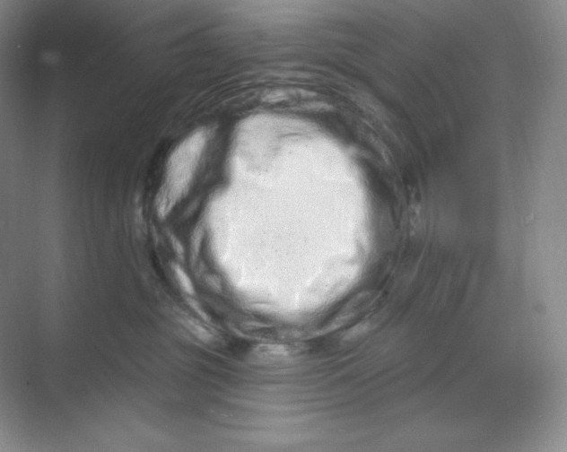 X0000070180381200606091513