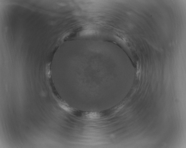 X0000070180383200606091513