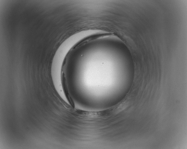 X0000070180384200606091513