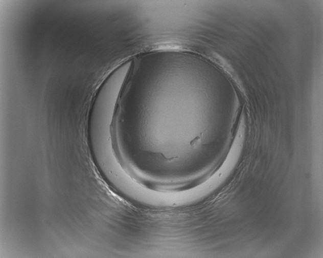 X0000070180385200606091512