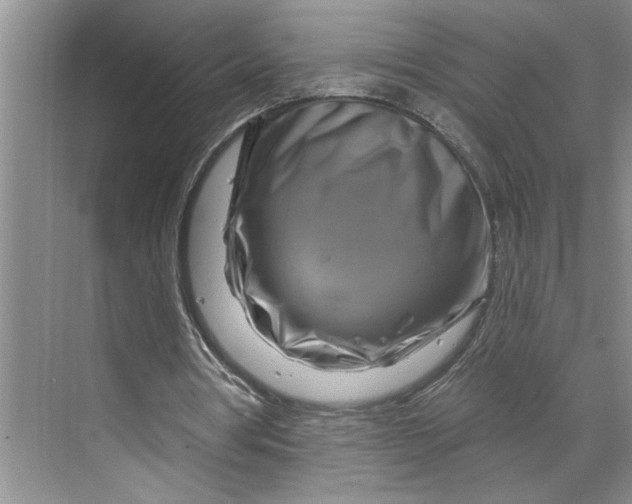 X0000070180386200606091512