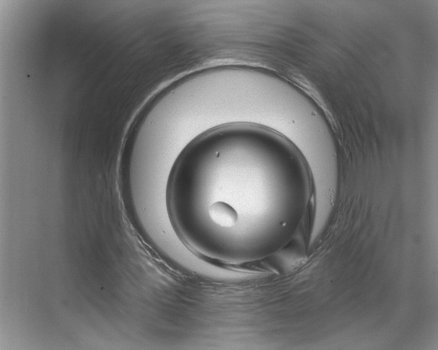 X0000070180387200606091512