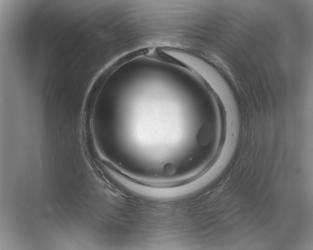 X0000070180388200606091512