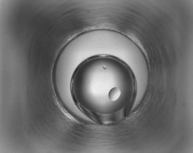 X0000070180389200606091512