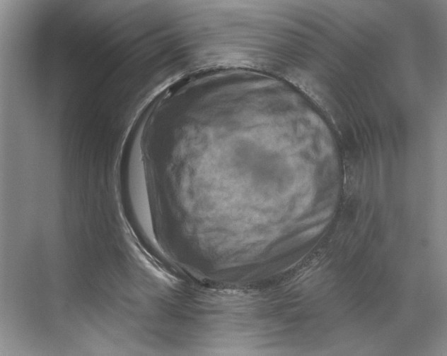 X0000070180390200606091512