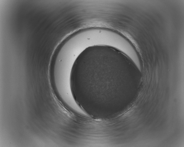 X0000070180391200606091512