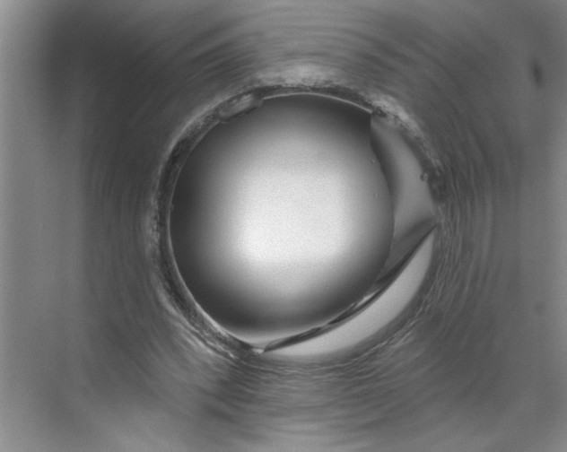 X0000070180392200606091512