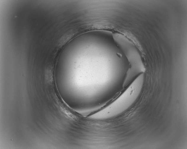 X0000070180393200606091512