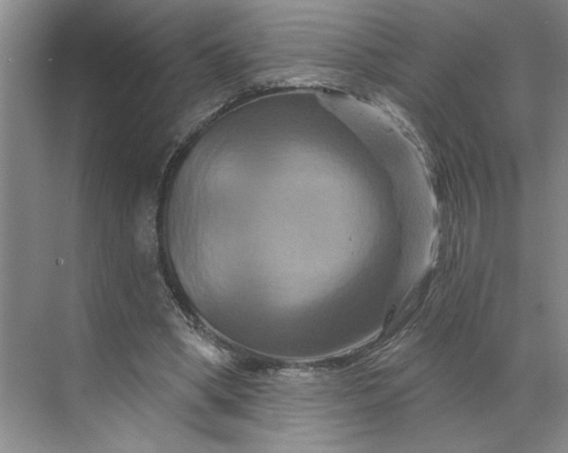 X0000070180394200606091512