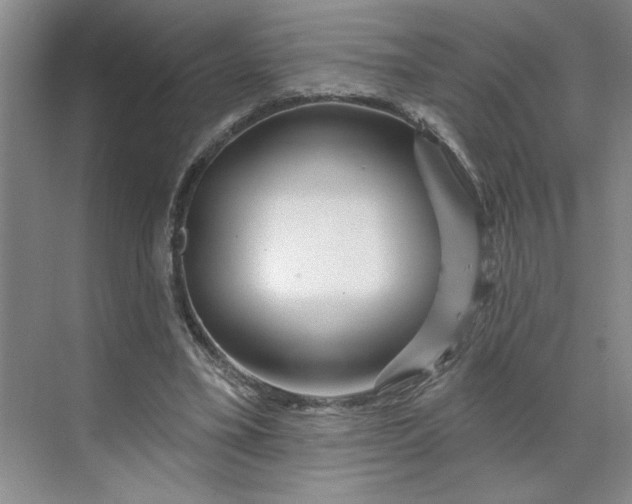 X0000070180395200606091512