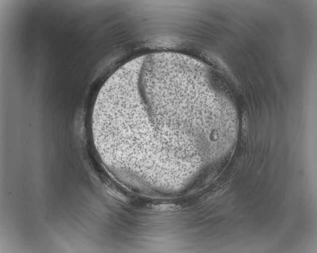 X0000070180396200606091512