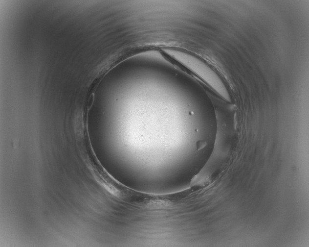 X0000070180397200606091512