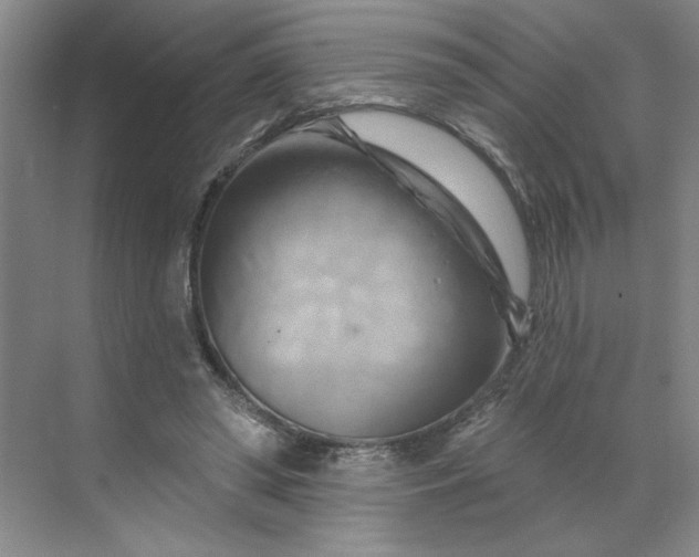 X0000070180398200606091512