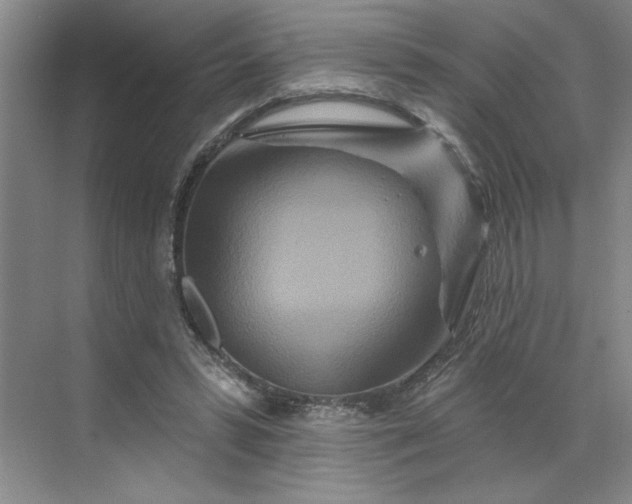 X0000070180399200606091512