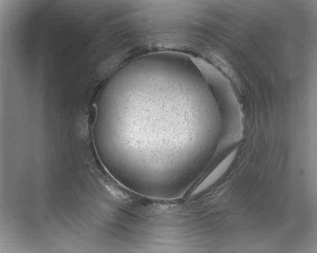 X0000070180401200606091512