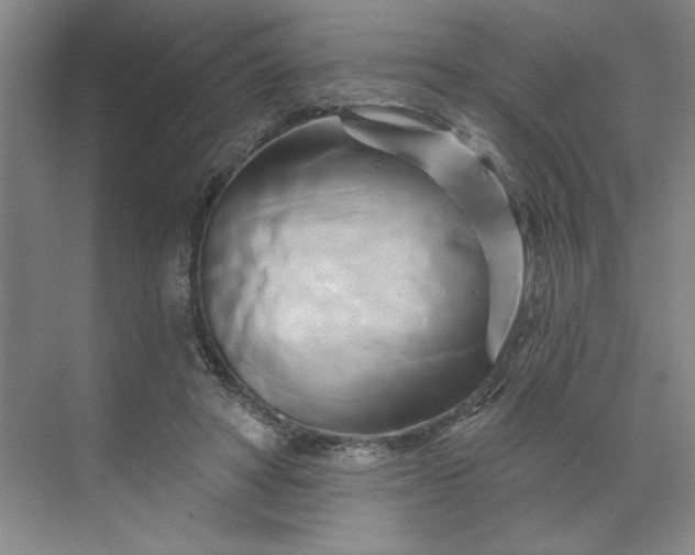 X0000070180402200606091512