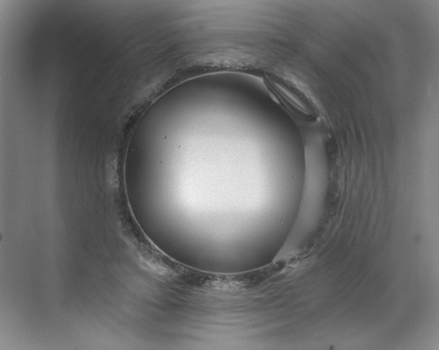 X0000070180403200606091512