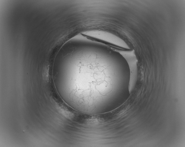 X0000070180404200606091512