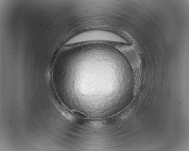 X0000070180405200606091512