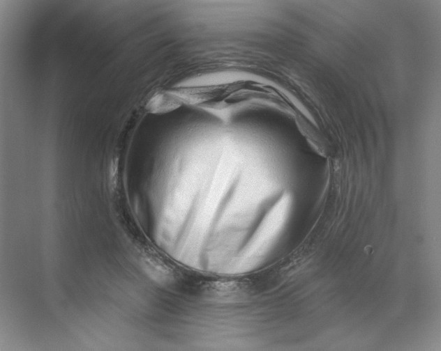 X0000070180406200606091512