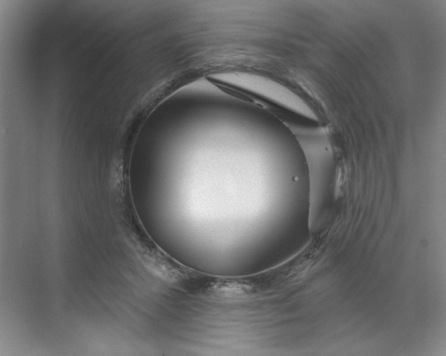 X0000070180407200606091512