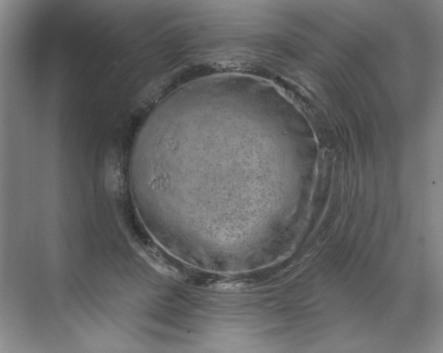 X0000070180408200606091512