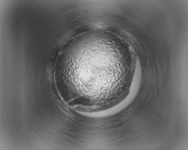 X0000070180409200606091512