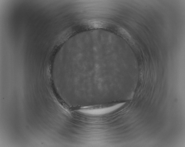 X0000070180410200606091512