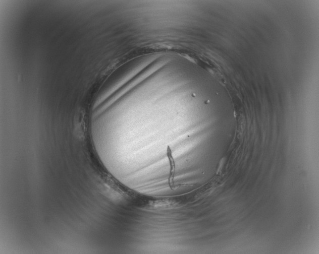 X0000070180414200606091512