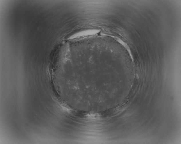 X0000070180415200606091512