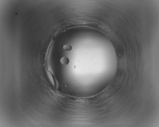 X0000070180418200606091511