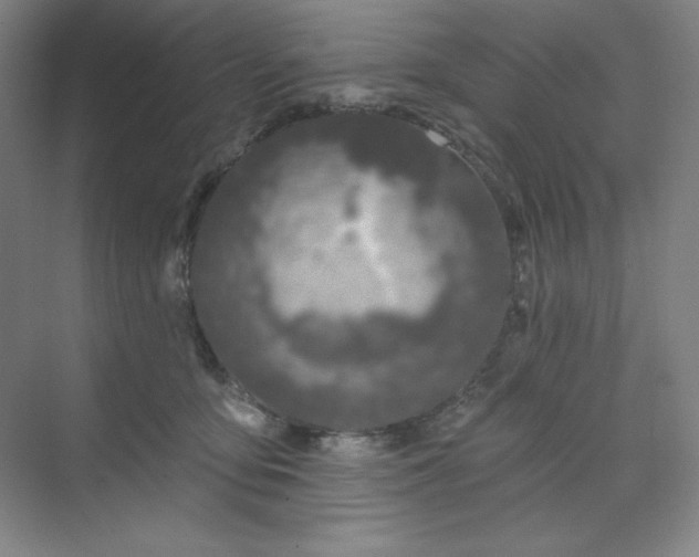 X0000070180419200606091511