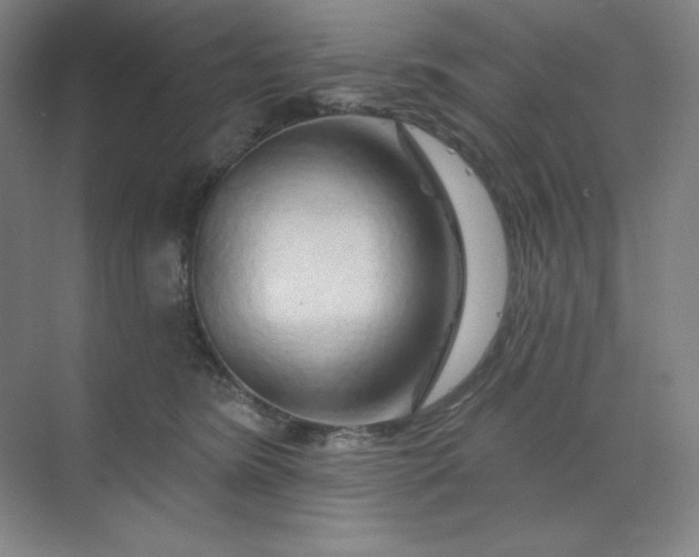 X0000070180420200606091511