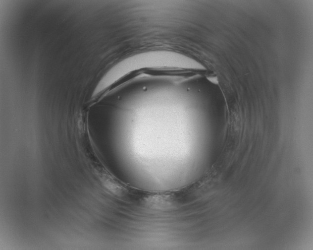 X0000070180422200606091511