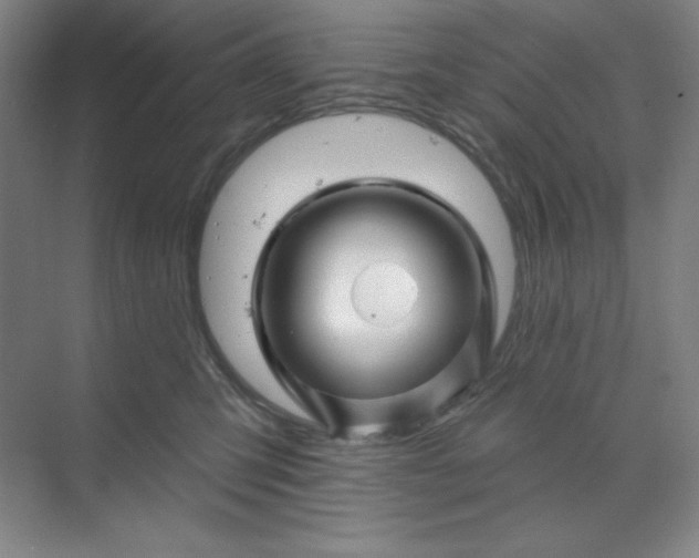 X0000070180423200606091511