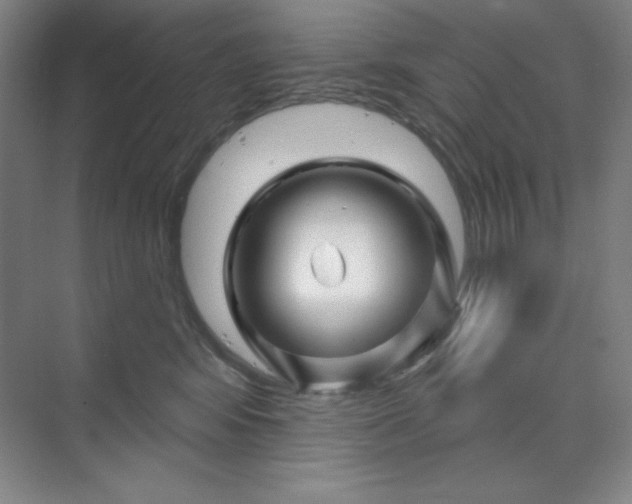 X0000070180424200606091511