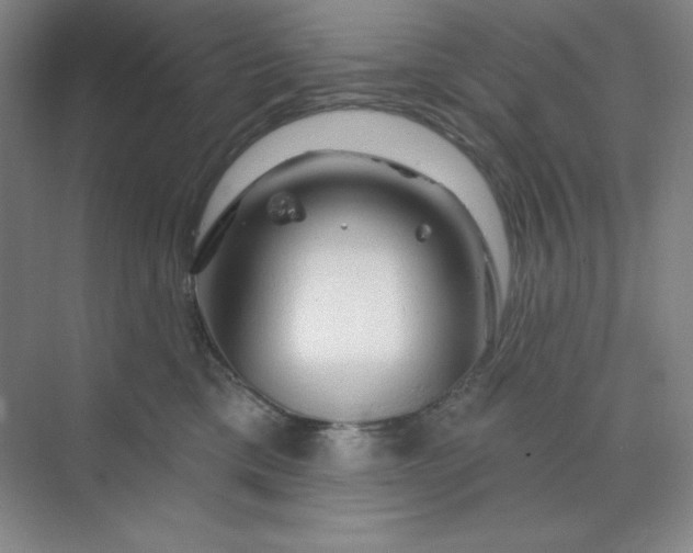 X0000070180425200606091511