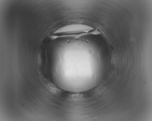 X0000070180426200606091511