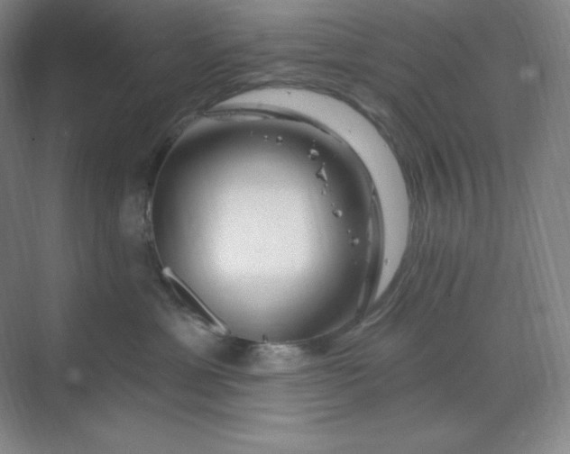 X0000070180429200606091511