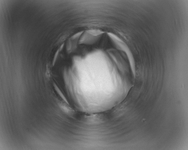 X0000070180430200606091511