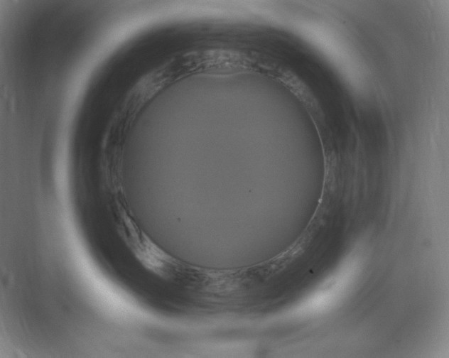 X0000070180431200606091511