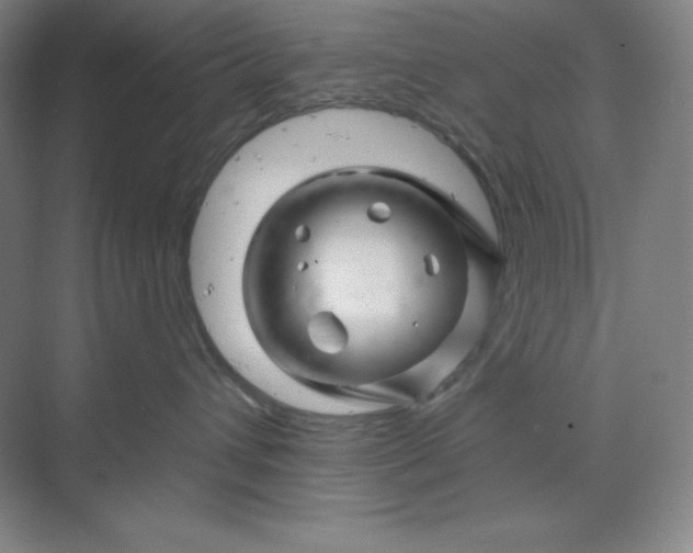 X0000070180432200606091511