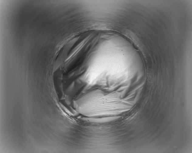 X0000070180433200606091510