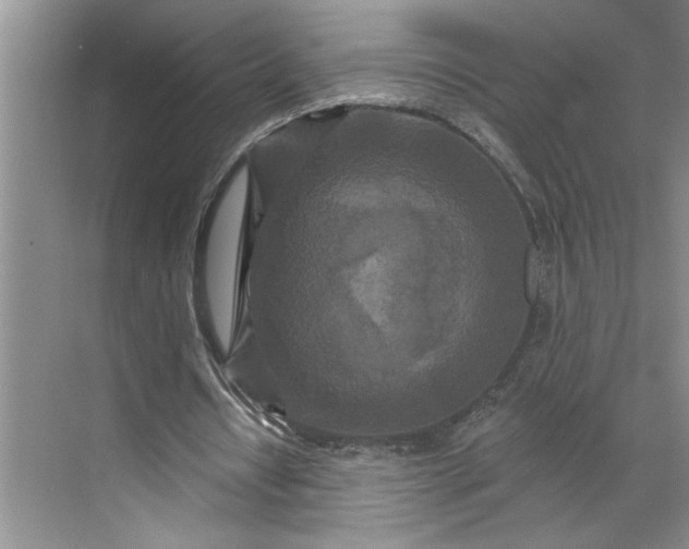 X0000070180434200606091510